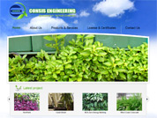 Corporate website for Consis Pte Ltd